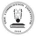Combustion Institute